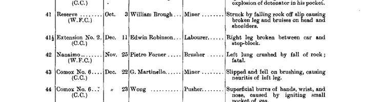 Pietro Forner’s death in the official mines report for British Columbia: Nanaimo, 25 November, “Left lung crushed by fall of rock; fatal”.